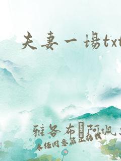 夫妻一场txt