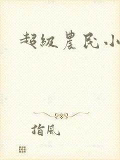 超级农民小说