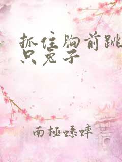 抓住胸前跳动两只兔子