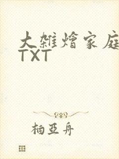 大杂烩家庭小说TXT