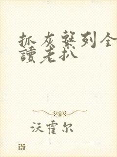 抓灰系列全文阅读老扒