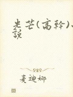 光芒(高干)小说