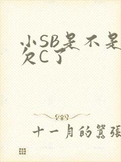 小SB是不是又欠C了