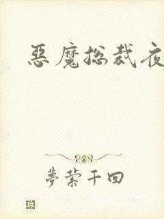 恶魔总裁夜锁爱