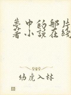 梦中的那片海原著小说在线阅读