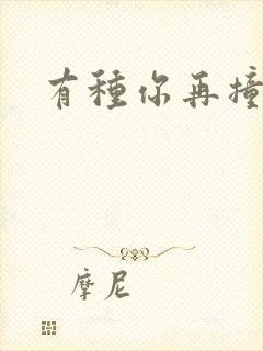 有种你再撞一下