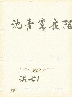 沈青鸾夜陌凌