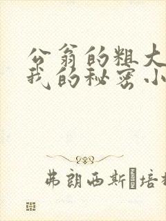 公翁的粗大放进我的秘密小说