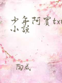 少年阿宾txt小说