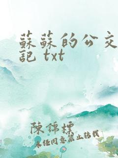 苏苏的公交车日记 txt