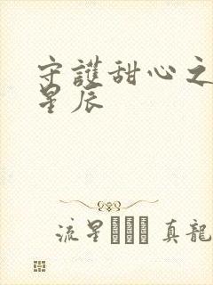 守护甜心之暗夜星辰