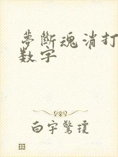 梦断魂消打三个数字