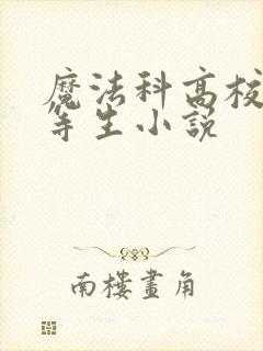 魔法科高校的劣等生小说