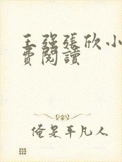 王强张欣小说免费阅读