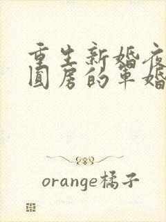 重生新婚夜正在圆房的军婚