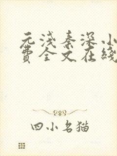 元浅秦深小说免费全文在线