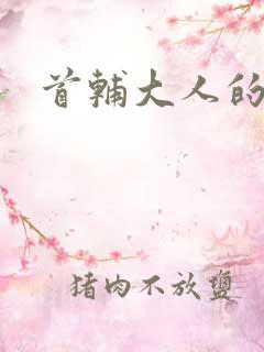 首辅大人的套路