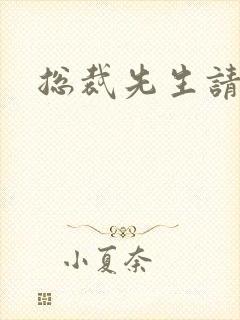 总裁先生请低调