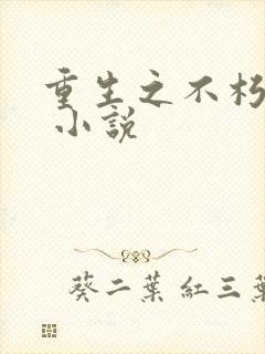 重生之不朽传奇 小说