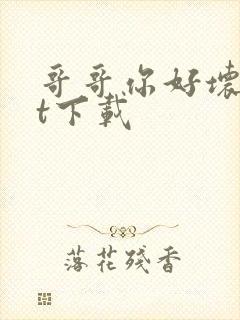 哥哥你好坏txt下载