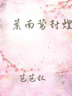 叶南莺封煜小说