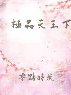 极品天王下载