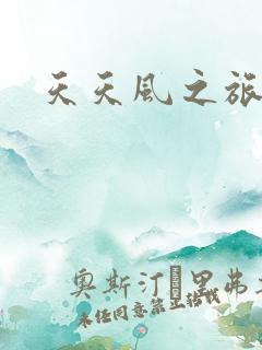 天天风之旅辅助