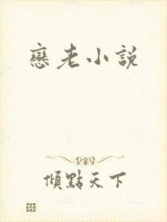 恋老小说
