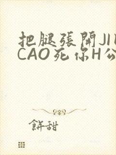 把腿张开JI巴CAO死你H公园