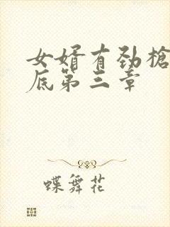 女婿有劲枪枪到底第三章