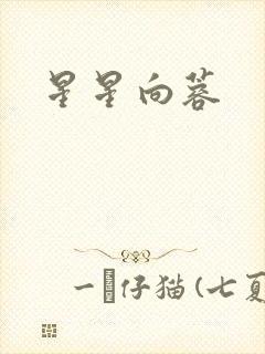 星星向蓉