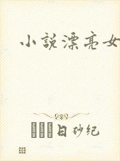 小说漂亮女局长