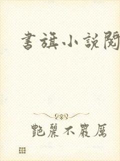 书旗小说阅读网