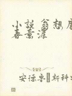 小说 翁想房中春意浓