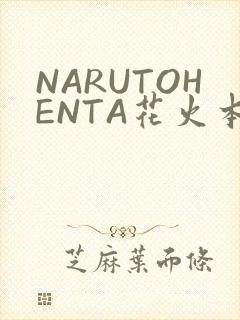 NARUTOHENTA花火本子