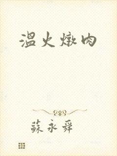 温火炖肉