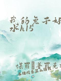 我的兔子好多软水h15