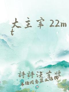 大主宰 22mt
