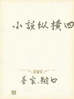 小说纵横四海