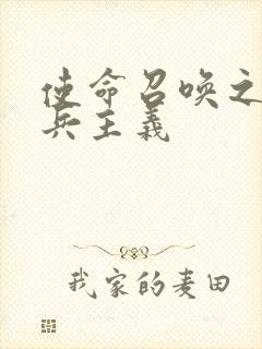 使命召唤之大炮兵主义