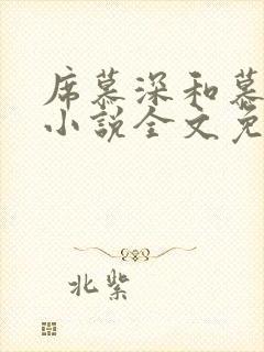 席慕深和慕清泠小说全文免费阅读