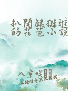 扒开腿挺进湿润的花苞小说