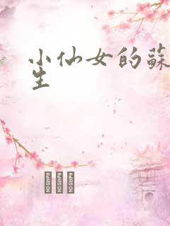 小仙女的苏撩先生