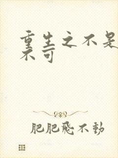 重生之不是非你不可