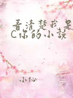 看清楚我是怎么C你的小说