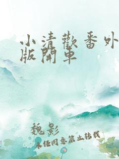 小清欢番外完整版开车