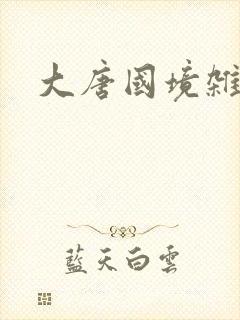 大唐国境杂货店