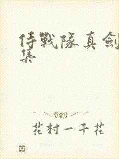 侍战队真剑者全集