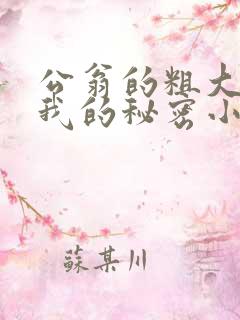 公翁的粗大放进我的秘密小说