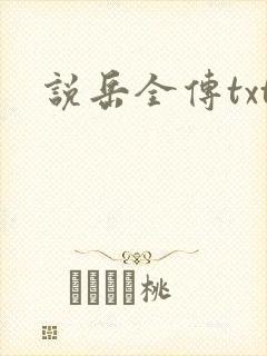 说岳全传txt
